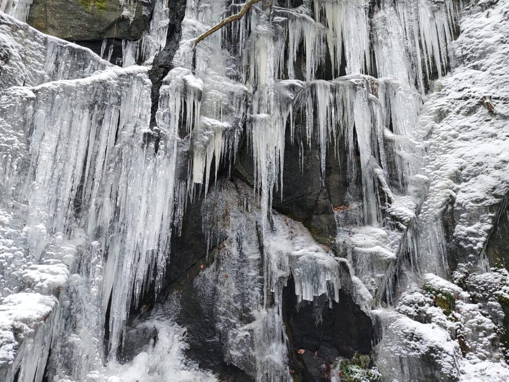 IMG-20250424-WA0020