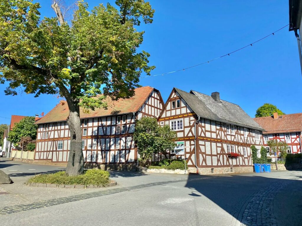 Holzhausen 12